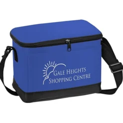 6-Pack Insulated Cooler Bag
