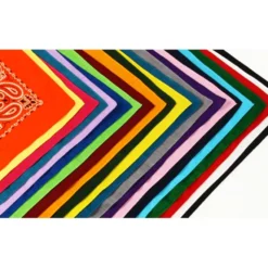 Paisley Bandana