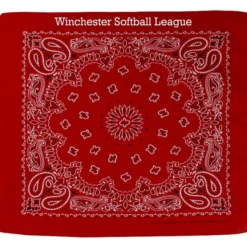 Paisley Bandana