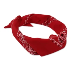 Paisley Bandana