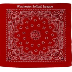 Paisley Bandana