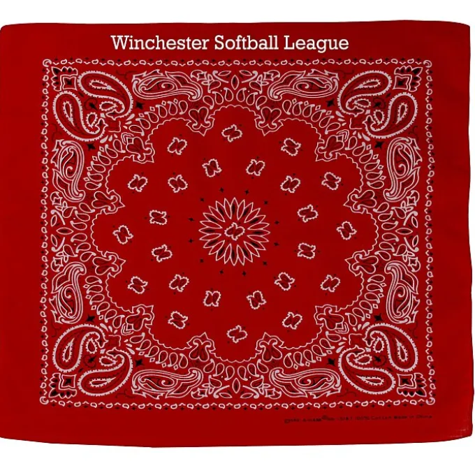 Paisley Bandana