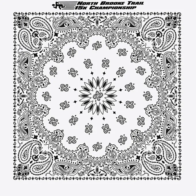 Paisley Bandana - USA Made