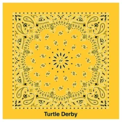 Paisley Bandana - USA Made