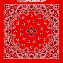 Paisley Bandana - USA Made