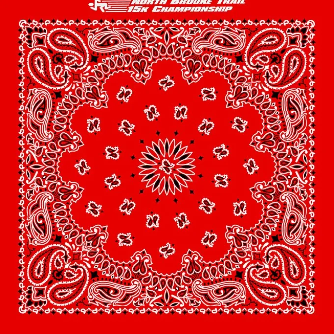 Paisley Bandana - USA Made