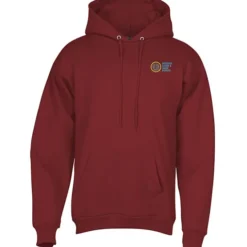 Paramount Pullover Hoodie - Embroidered - 24 hr