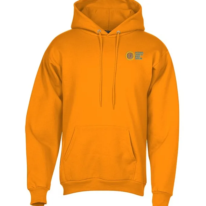 Paramount Pullover Hoodie - Embroidered - 24 hr