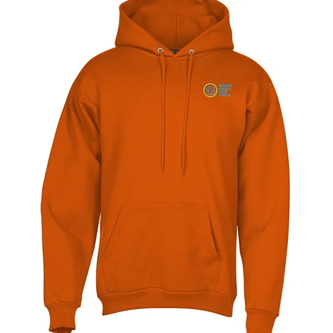 Paramount Pullover Hoodie - Embroidered - 24 hr