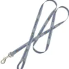 Pet Leash