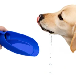 Pet Water Bottle with Dispensing Bowl