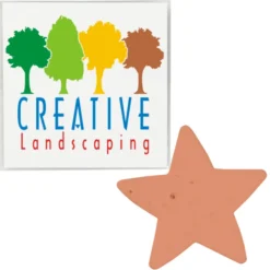 Plant-A-Shape Flower Seed Packet - Star