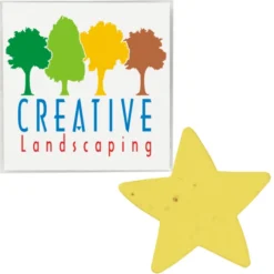 Plant-A-Shape Flower Seed Packet - Star