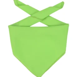 Polyester Bandana