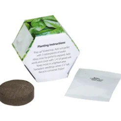 Pop Up Planter Kit - Basil