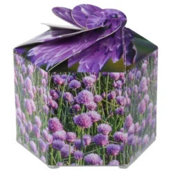Pop Up Planter Kit - Chives