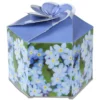 Pop Up Planter Kit - Forget Me Not
