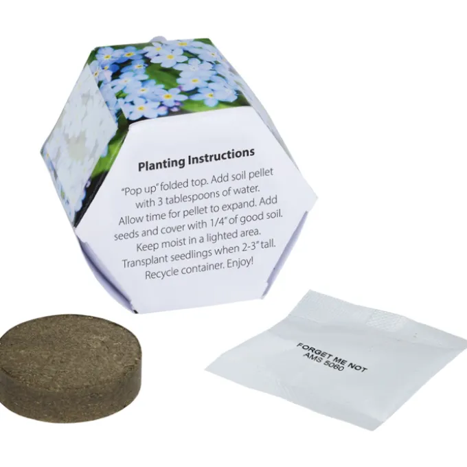 Pop Up Planter Kit - Forget Me Not