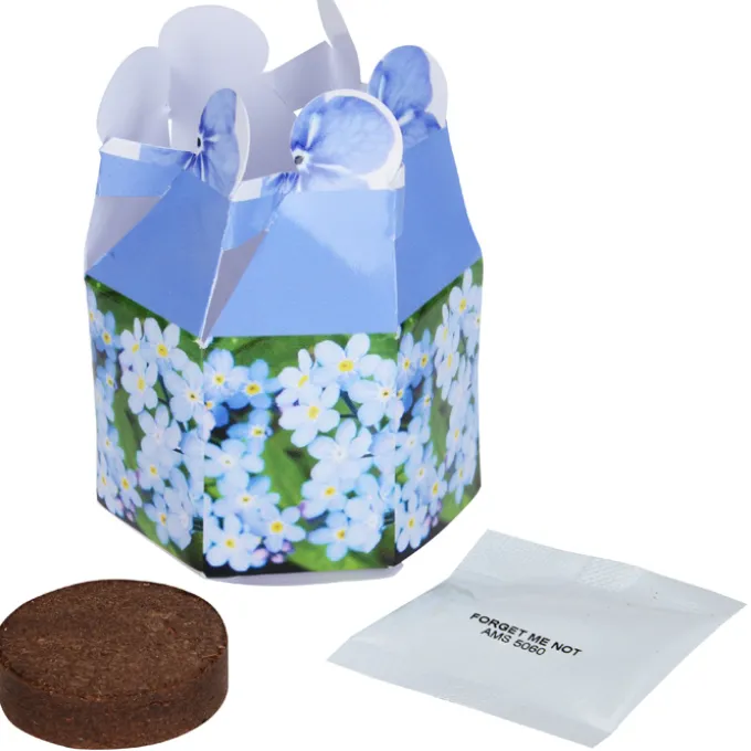 Pop Up Planter Kit - Forget Me Not
