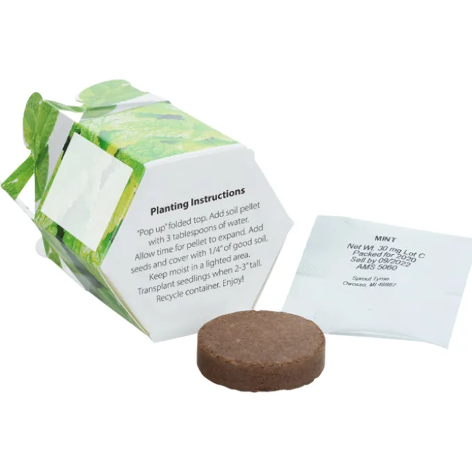 Pop Up Planter Kit - Mint