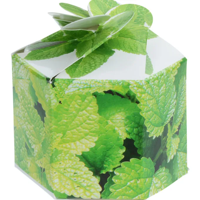 Pop Up Planter Kit - Mint