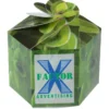 Pop Up Planter Kit - Oregano