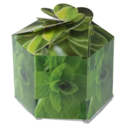Pop Up Planter Kit - Oregano
