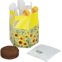 Pop Up Planter Kit - Sunflower