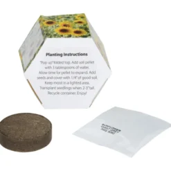 Pop Up Planter Kit - Sunflower