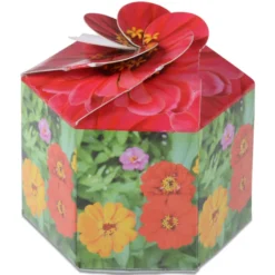 Pop Up Planter Kit - Zinnia
