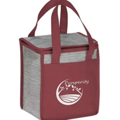 Portage Lunch Cooler - 24 hr