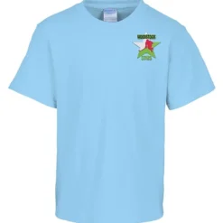 Port & Company Essential T-Shirt - Youth - Embroidered
