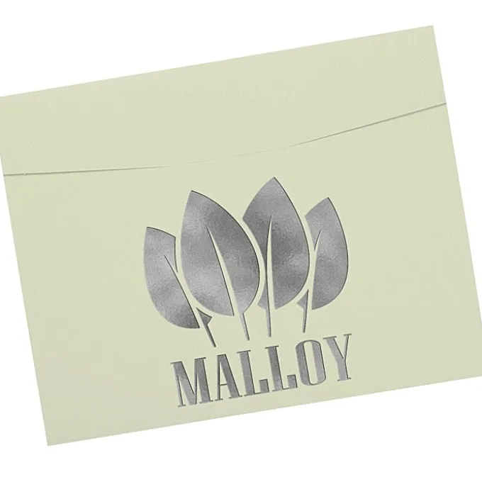 Portfolio Certificate Cover - Fiber