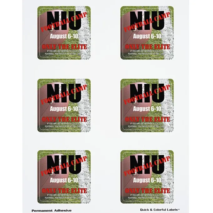 Quick & Colorful Sheeted Label - Square 2-1/2 inches x 2-1/2 inches