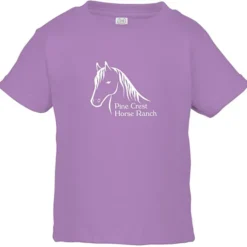 Rabbit Skins Jersey T-Shirt - Toddler - Colors