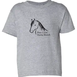 Rabbit Skins Jersey T-Shirt - Toddler - Colors