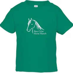 Rabbit Skins Jersey T-Shirt - Toddler - Colors
