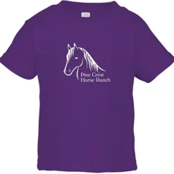 Rabbit Skins Jersey T-Shirt - Toddler - Colors