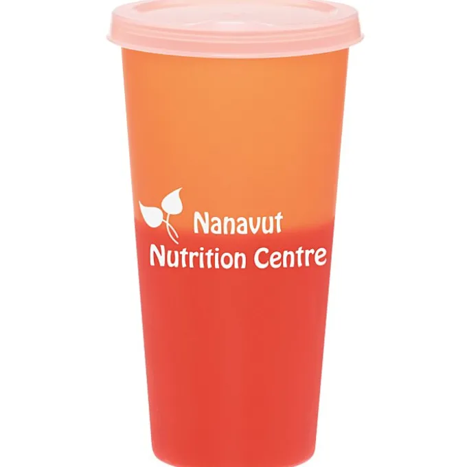 Rave Mood Tumbler with Lid - 26 oz