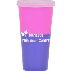 Rave Mood Tumbler with Lid - 26 oz