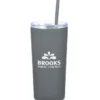 Refresh Baylos Vacuum Tumbler with Straw - 20 oz