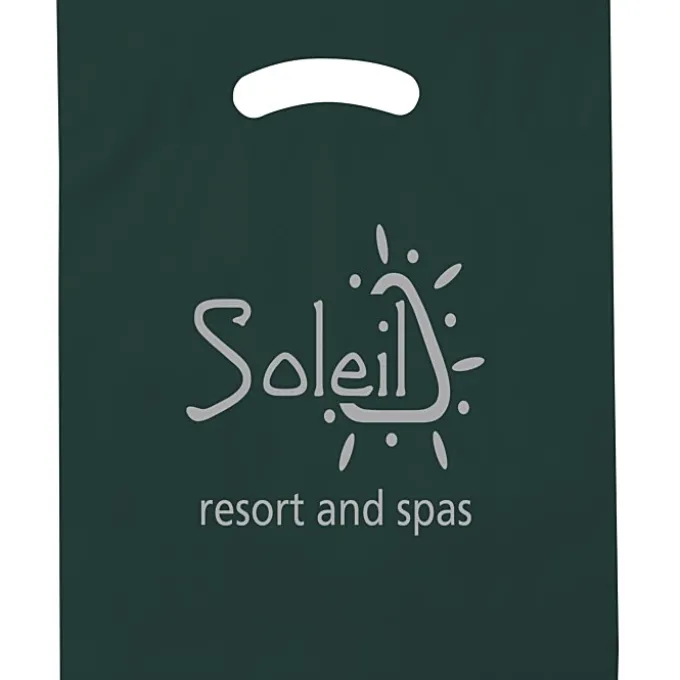 Reinforced Handle Plastic Bag - 19 inches x 15 inches