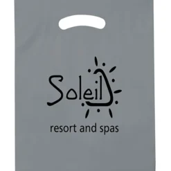 Reinforced Handle Plastic Bag - 19 inches x 15 inches