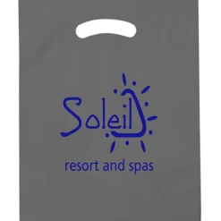 Reinforced Handle Plastic Bag - 19 inches x 15 inches