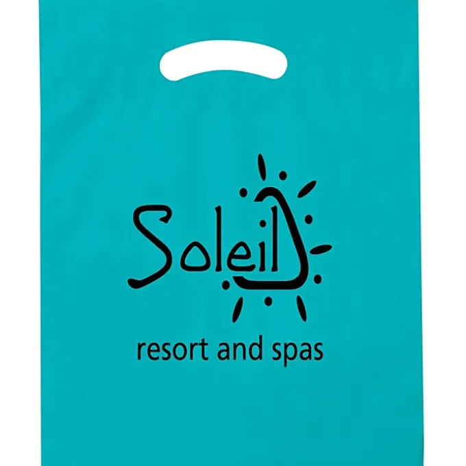 Reinforced Handle Plastic Bag - 19 inches x 15 inches