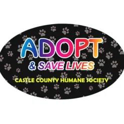 Removable Euro Bumper Sticker - Full Color