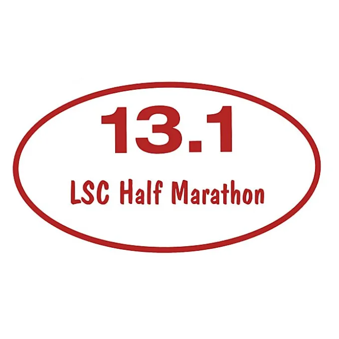 Removable Euro Bumper Sticker - 13.1