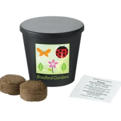 Renew Promo Planting Pot - Full Color