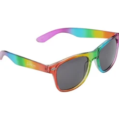 Risky Business Sunglasses - Rainbow - 24 hr