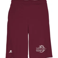 Russell Athletic Essential Performance Shorts